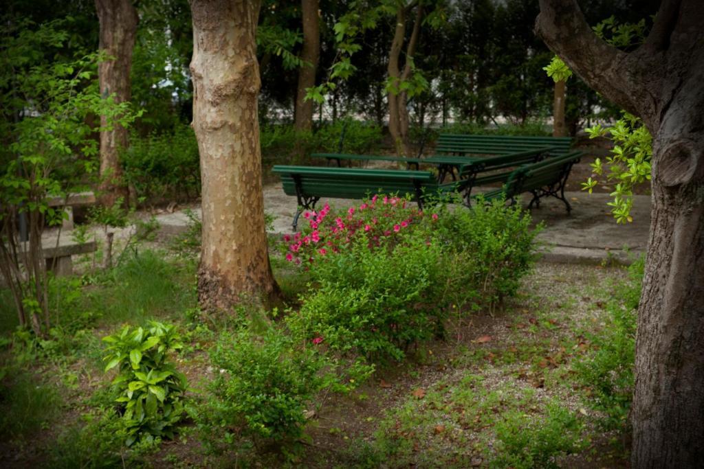 Hotel Balneario De Артейхо Экстерьер фото