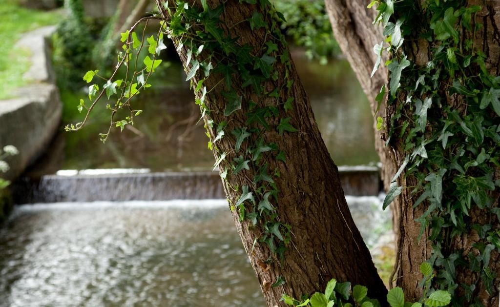 Hotel Balneario De Артейхо Экстерьер фото